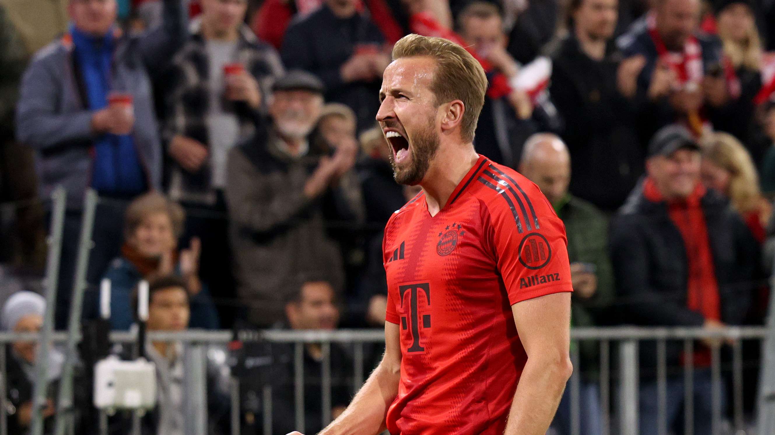 再加上合理 再加上合理